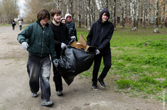 Лента новостей