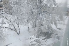 Лента новостей