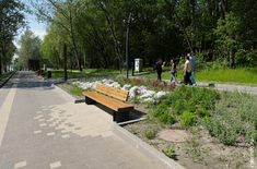 Лента новостей