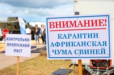 Лента новостей