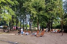 Лента новостей