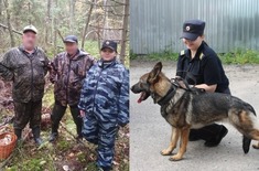 Лента новостей