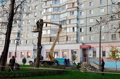 Лента новостей