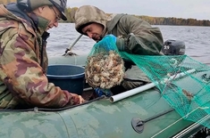 Лента новостей