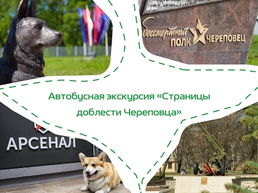 Ссылка