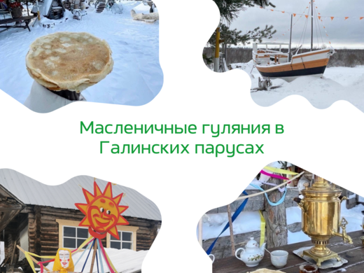 Ссылка