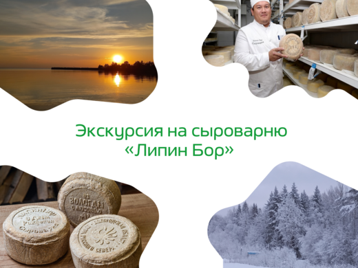 Ссылка